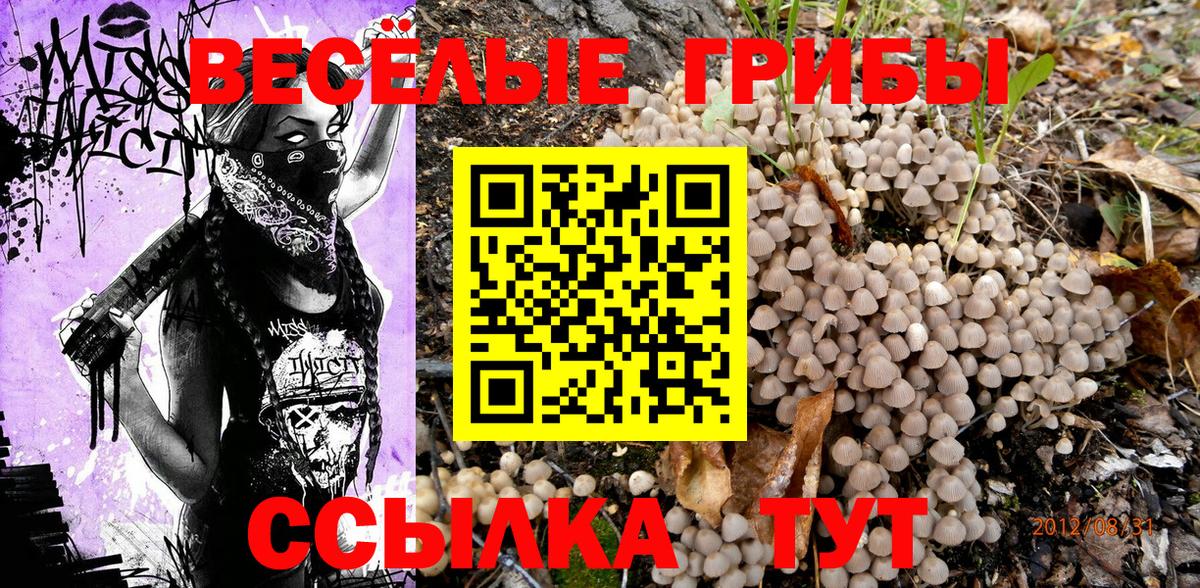 Псилоцибиновые грибы ЛСД Дубна